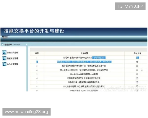 问鼎登录入口网页版账号安全设置指南，提升账号防护能力的实用建议